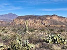 photo thumbnail #2