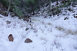 photo thumbnail #2