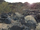 photo thumbnail #9