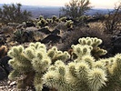 2023-12-11 :1: Woolsey Peak :: WildForAZ