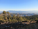 photo thumbnail #8