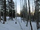 photo thumbnail #9