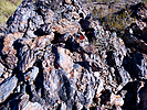 photo thumbnail #15