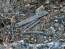 2024-01-15 :3: BENCH BM-Table Top Wilderness :: FLYING_FLIVER