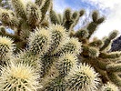 photo thumbnail #8