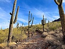 photo thumbnail #3
