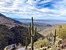 photo thumbnail #10