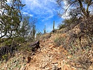 photo thumbnail #6