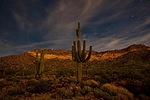 photo thumbnail #10