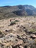 2024-01-18 :1: Geronimo Head :: joebartels
