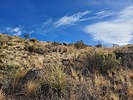 photo thumbnail #14