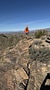 photo thumbnail #13