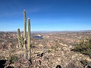 photo thumbnail #5
