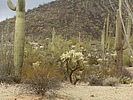 photo thumbnail #3