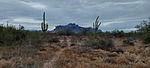 photo thumbnail #3