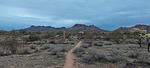 photo thumbnail #2