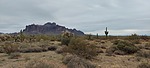 photo thumbnail #4