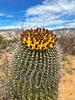 photo thumbnail #14