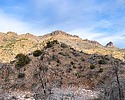 2024-01-20 :2: Campaign Trail to Pinto Divide :: 00blackout