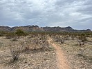 photo thumbnail #15