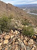 2024-01-20 :1: Lime Peak 3789 and Sunset Mountain 4598 :: John10s