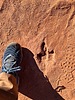 photo thumbnail #2