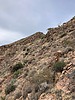 2024-01-20 :1: Lime Peak 3789 and Sunset Mountain 4598 :: John10s