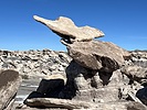 photo thumbnail #13