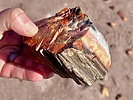 photo thumbnail #7