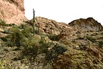 photo thumbnail #3