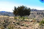 photo thumbnail #12