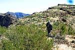 photo thumbnail #5