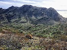photo thumbnail #1