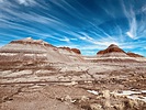 photo thumbnail #14