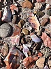 photo thumbnail #10