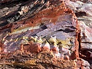 photo thumbnail #11