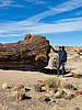 photo thumbnail #4