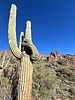 photo thumbnail #4