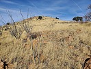 2024-01-29 :2: Santa Rita Peak 5761 :: Mike_W