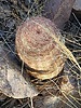 photo thumbnail #14