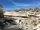 photo thumbnail #13