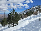 photo thumbnail #4