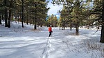 photo thumbnail #8