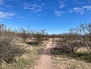 photo thumbnail #5