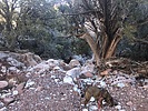 photo thumbnail #6