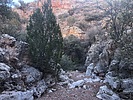 photo thumbnail #7