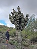 photo thumbnail #3