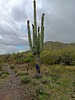 photo thumbnail #2