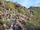 2024-01-29 :2: Black Mountain - Little Ajo Mountains HP :: DixieFlyer