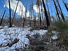 photo thumbnail #12